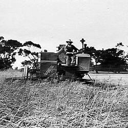 Photograph - H.V. McKay Massey Harris, Farm Equipment Manufacture & Field Trials, Balliang, Victoria, Jan 1932