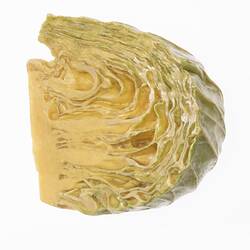 Wax model of wedge shaped section of cabbage, painted pale yellow and green.