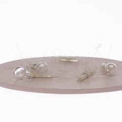 Light brown disc with clear glass capsule-shaped pieces on top.