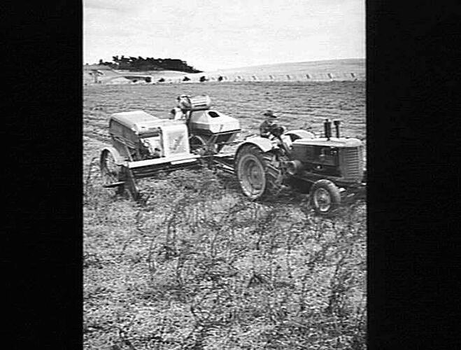 SUNSHINE 12 FT. NO.4 P.T.O. HEADER, EQUIPPED WITH NO.4 PICKUP ATTACHMENT AND CUTTERBAR AND DRAWN BY SUNSHINE MASSEY HARRIS TRACTOR HARVESTING 21 BUSHELS OF DUNN PEAS TO THE ACRE ON MR BLAIR'S FARM AT MT MORIAC, WESTERN DISTRICT, VICTORIA. JAN.1948.
