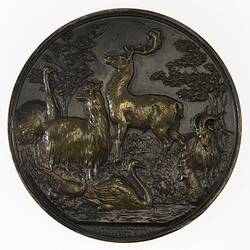 Medal - Acclimatisation Society of Victoria Bronze, 1868