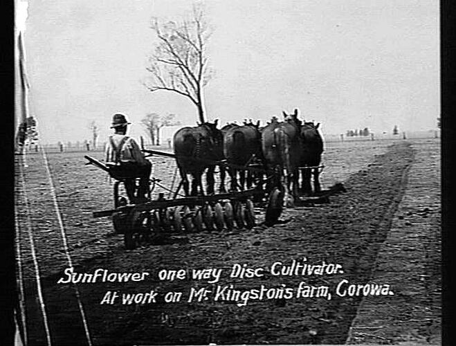 SUNFLOWER ONE WAY DISC CULTIVATOR AT WORK ON MR KINGSTON'S FARM, COROWA: CIRCA 1920