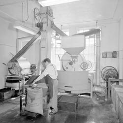 Negative - Male Manufacturing Employee Scooping Coffee Beans Into an Industrial Grinder, 1950s