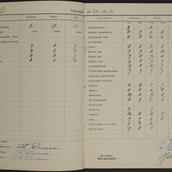 School Report - 'Rapportenboekje'', Hendrika Perdon, Rotterdam, The Netherlands, 1950-52