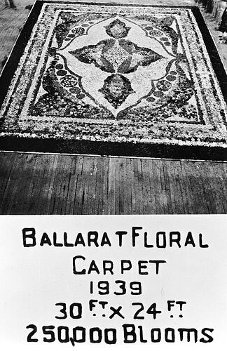 BALLARAT FLORAL CARPET 1939. 30FT X 24 FT. 250,000 BLOOMS