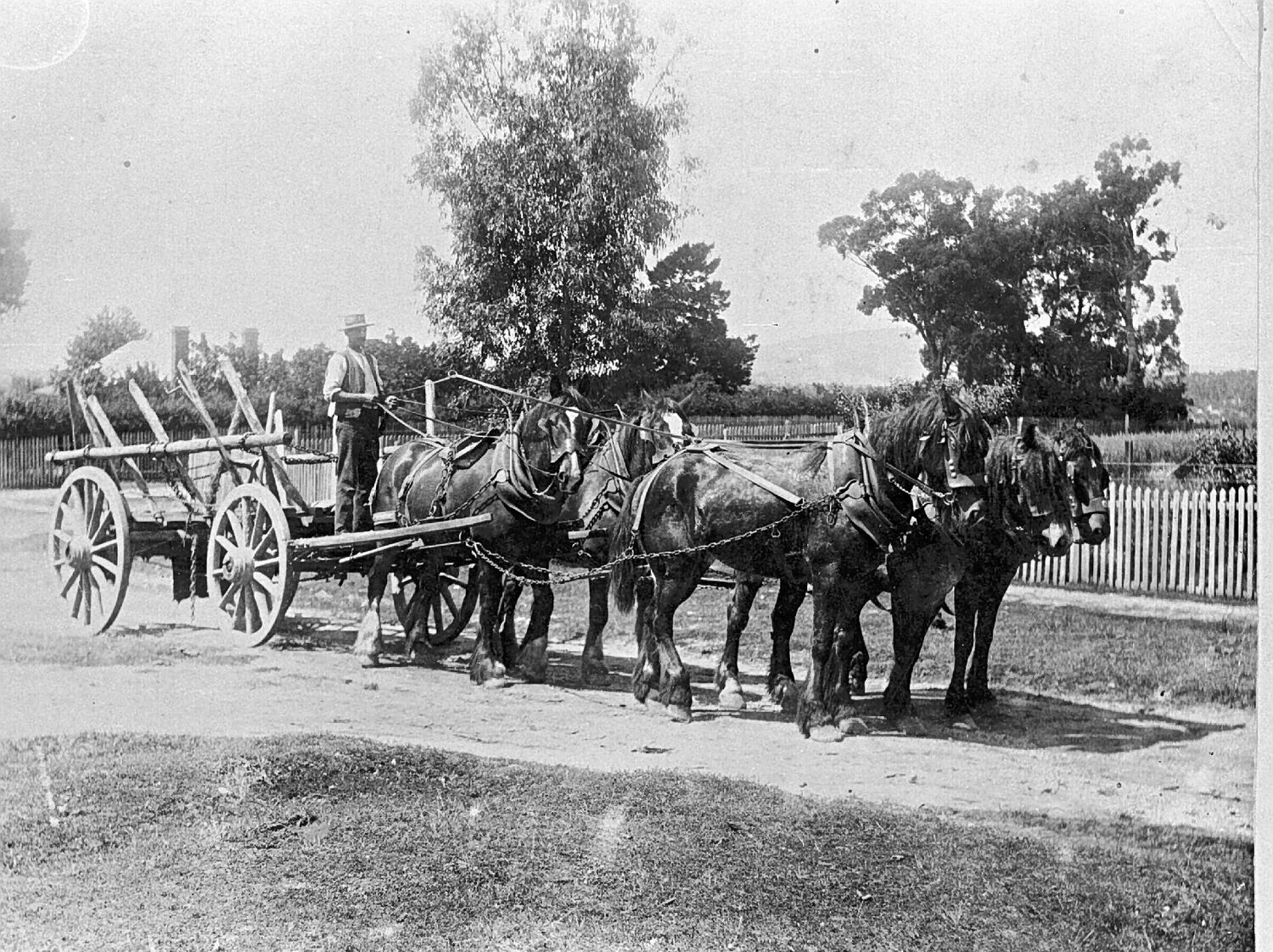 Negative - Creswick, Victoria, circa 1915