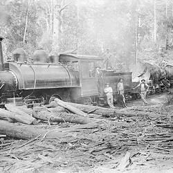 Negative - Albany District, Western Australia, circa 1900