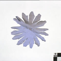 Artificial Flower - Blue Cotton, circa 1950s-1970s