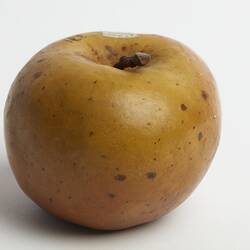Wax model of yellow apple with slight red tinge.