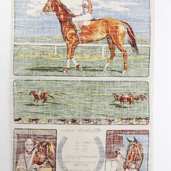 Back of tea towel, colour pictures of racehorse and man.