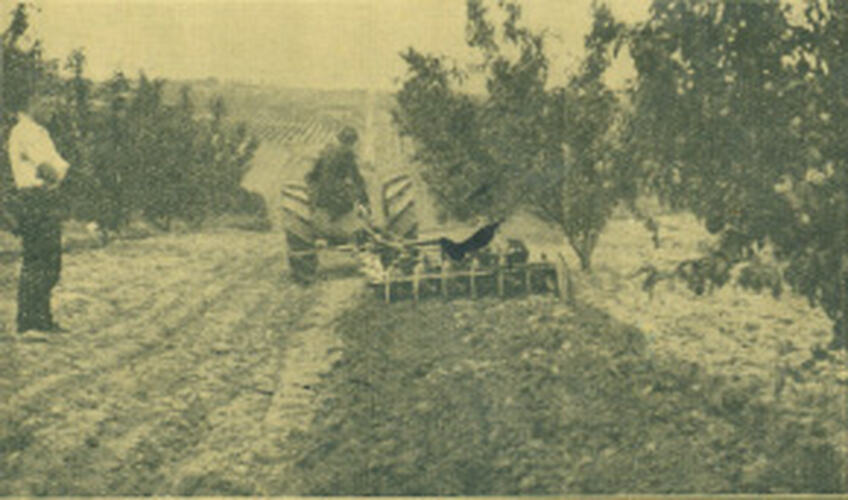 Newspaper photograph - Men operating a tractor-drawn disc cultivator
