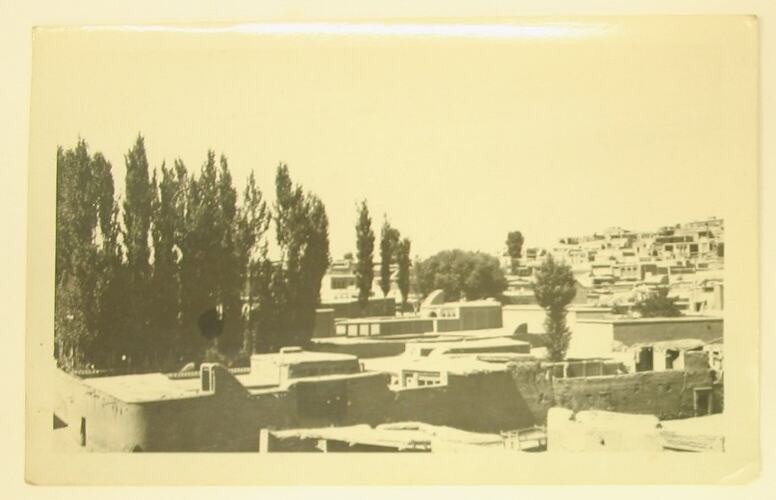Elevated view of buildings and trees.