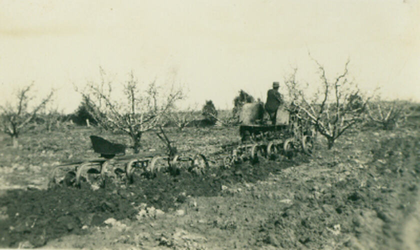 Photograph - Tractor towing a tyne cultivator