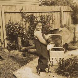Digital Photograph - '3 years nine months...'  Girl Putting Firewood in Pram, Backyard, Preston East, 1946