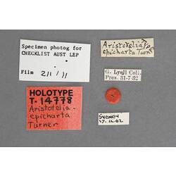 Entomology type specimen labels.