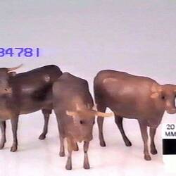 Cattle Models - Steer, 1879-1944