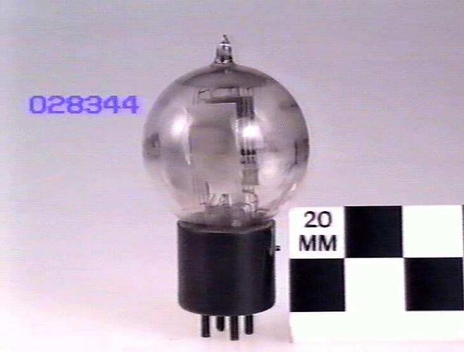 Electronic Valve - Western Electric, Triode, Type 205-D, c 1928