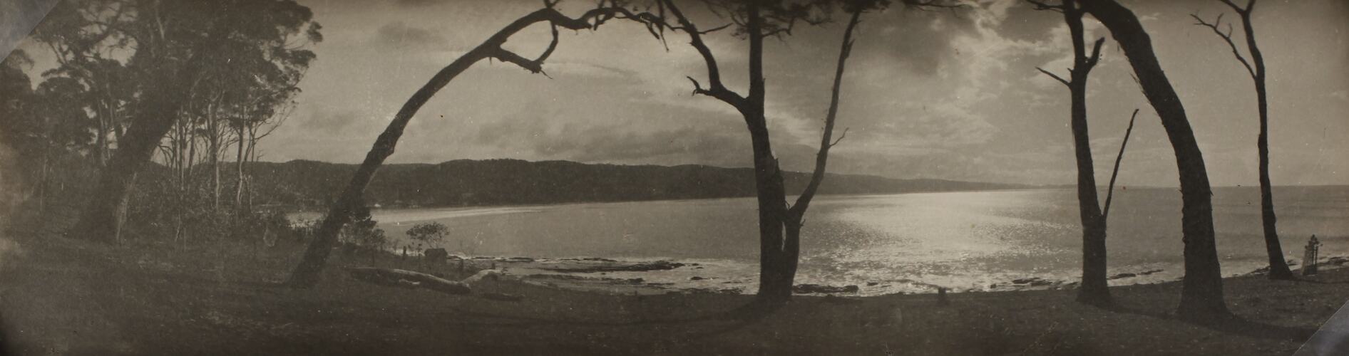 Photograph - Coastal Landscape, Lorne District, Victoria, circa 1920s