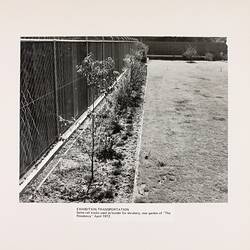 Photograph - Rail Track Garden Edging, Exhibition Building, Melbourne, 1972