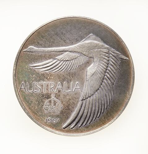 Round silver coin with black swan in flight, text below.