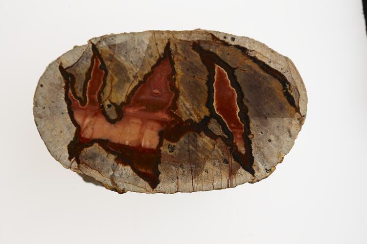 Agate with black-outlined jagged orange pattern on brown background.