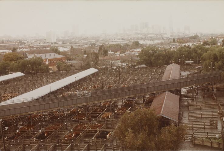 Aerial View of Newmarket Saleyards, Sept 1985