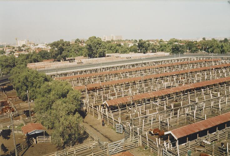 Aerial View of Newmarket Saleyards, 1 April 1985