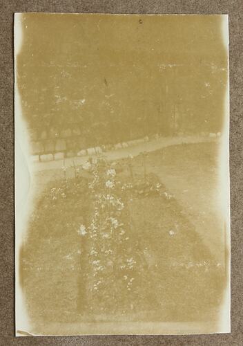 Photograph - Grave, Driver Cyril Rose, World War I, 1916-1919