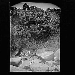 Glass Negative - Riverbed, by A.J. Campbell, Australia, circa 1900