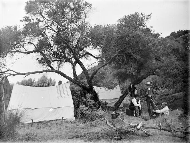 [Camping among the moonah trees on Phillip Island, about 1902.]