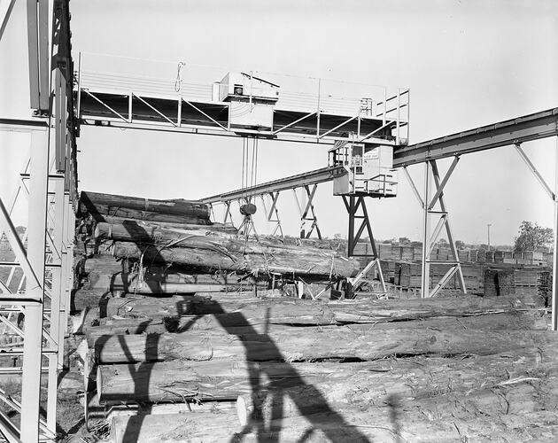 Negative - Alstergren Pty Ltd, Timber Yard, Heyfield, Victoria, 1958