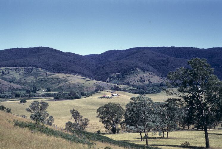 Buchan River Valley, Victoria, Jan 1959