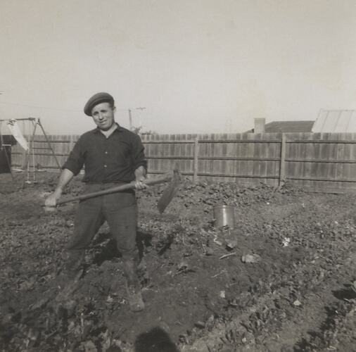 Salvatore Mazzarino working in his Garden, St Albans, Melbourne, circa 1965