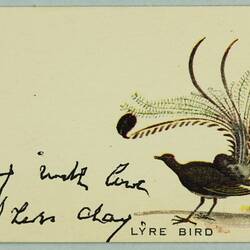 Card - Lyrebird, To Mary From Auntie, 18 May 1969