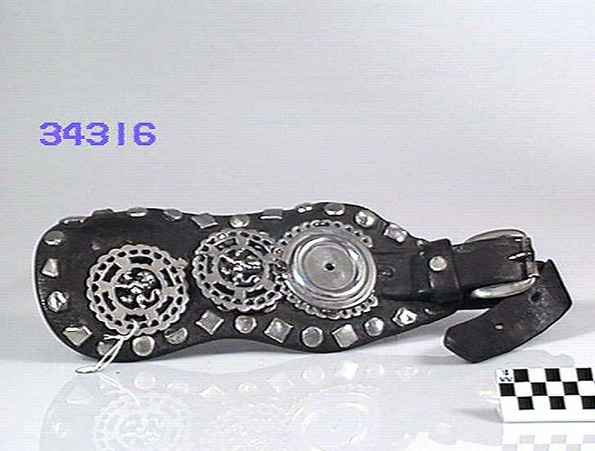 Harness Strap With Brasses