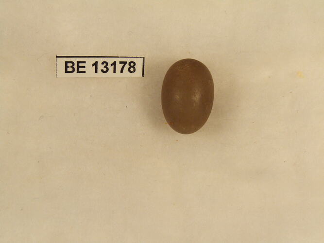 Bird egg with specimen label.