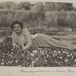 Photograph - 'Morning Flower', by A.J. Campbell, Victoria, circa 1895