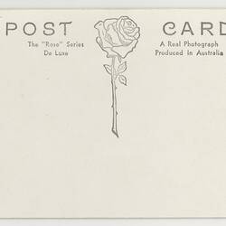 White back of a 'Rose Series' postcard. Rose logo printed in grey.
