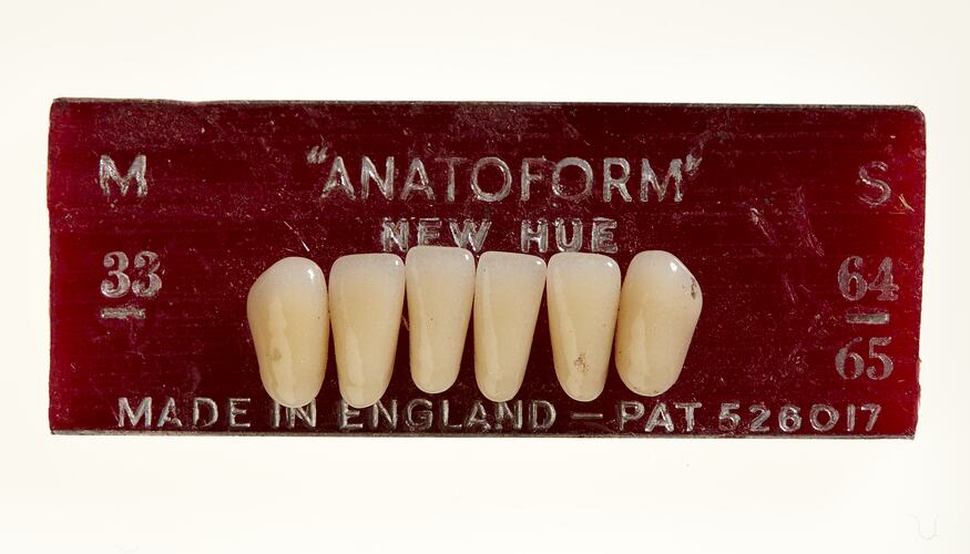 Row of six off white teeth on maroon card with text.