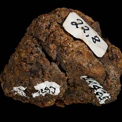 Dalgaranga Meteorite. [E 10465]