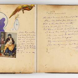 Open scrapbook showing 2 pages of inscriptions and illustrations, mostly portraits and birds.