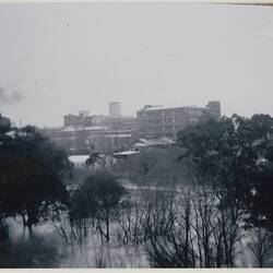 Flooded river with trees half submerged. Large buildings and factories in background.