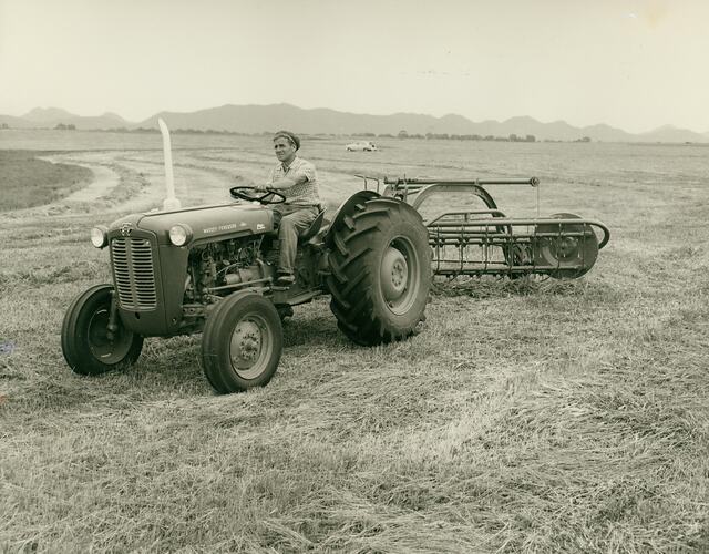 Man driving a tractor coupled to a side delivery rake, in field of cut hay.