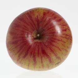 Wax model of an apple painted red and yellow. Top view.