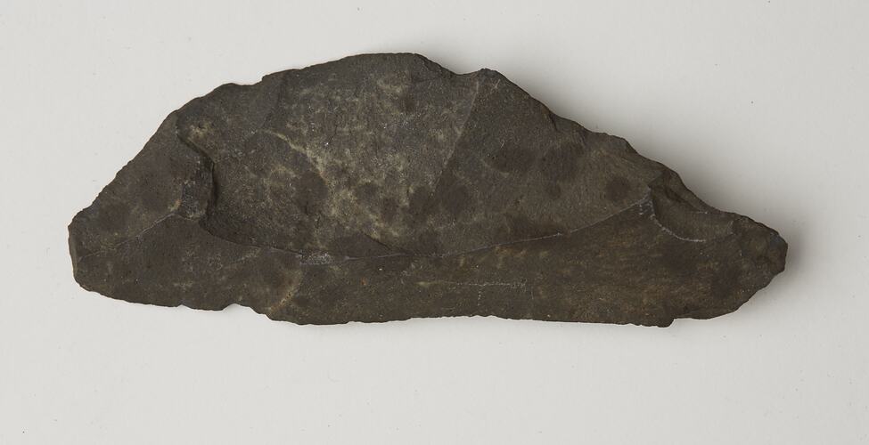 Stone scraper collected from a kitchen midden, Navarino Island, May 1929.