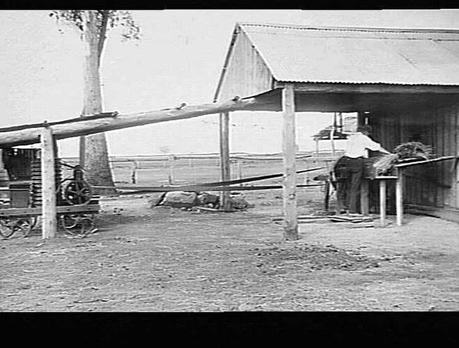 Photograph - H. V. McKay factory and/or equipment