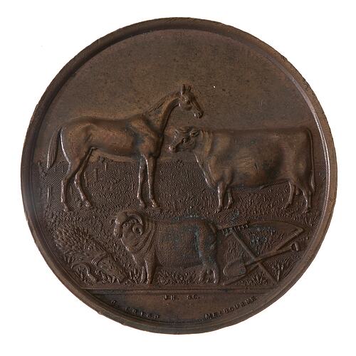 Medal - Wimmera District Pastoral and Agricultural Society Bronze Prize, c. 1875 AD