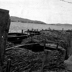 Negative - Palmer Island, New South Wales, 1934