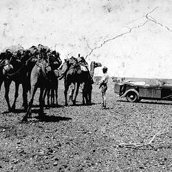 Negative - Ford Model B Tourer Motor Car with Two Men & Camel Team, Coober Pedy District, South Australia, 1935