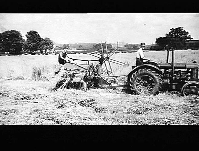 POWER BINDER BUTTERLEY CO. -- AUG 1944. DOWN CROP OATS.